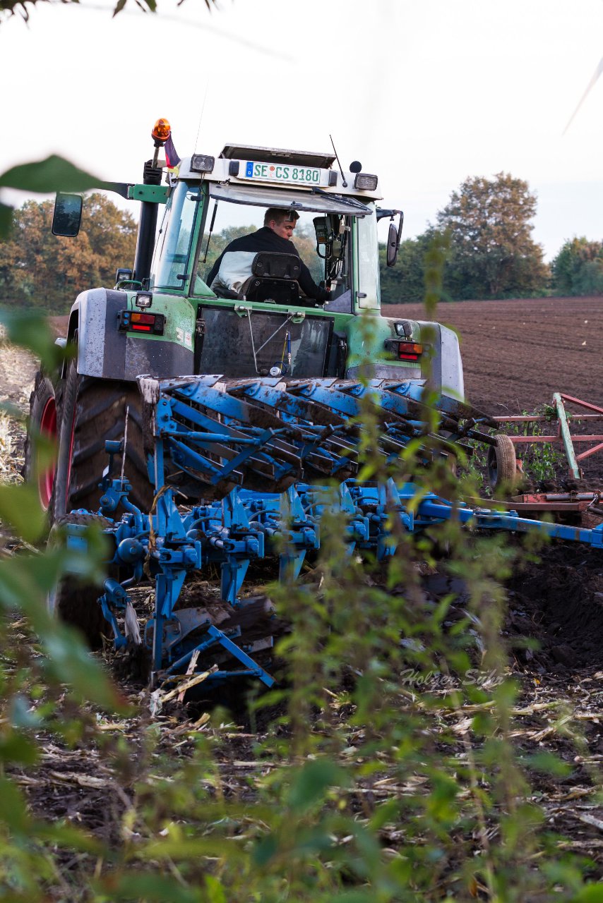 Bild 27 - Maisernte am 11.10.12